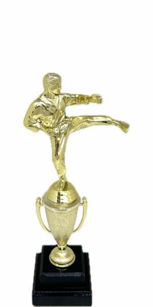 Karate Male Trophy 310mm