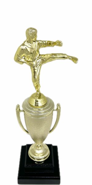 Karate Male Trophy 350mm