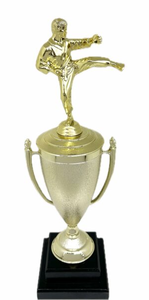 Karate Male Trophy 390mm