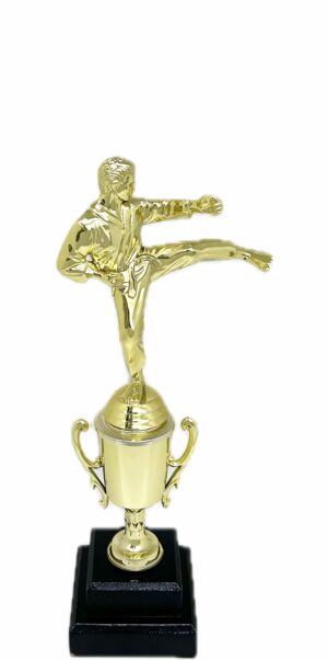 Karate Male Trophy 310mm