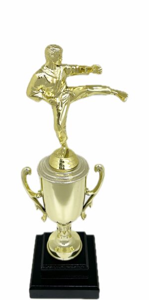 Karate Male Trophy 350mm