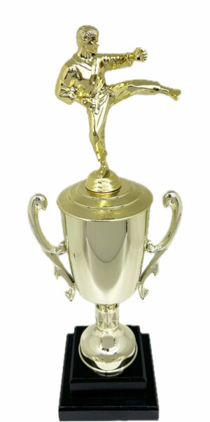 Karate Male Trophy 390mm