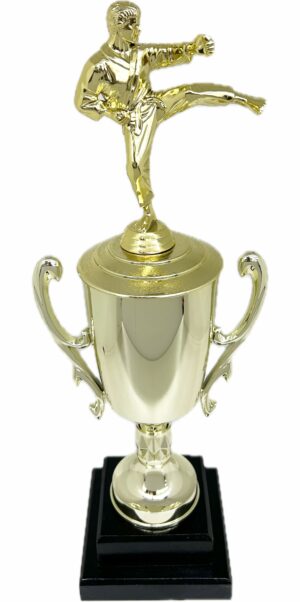 Karate Male Trophy 420mm