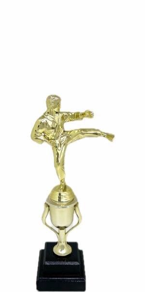 Karate Male Trophy 290mm