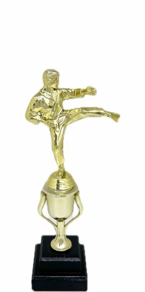 Karate Male Trophy 310mm