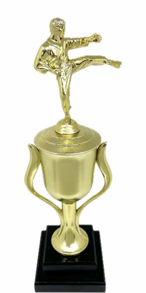 Karate Male Trophy 390mm