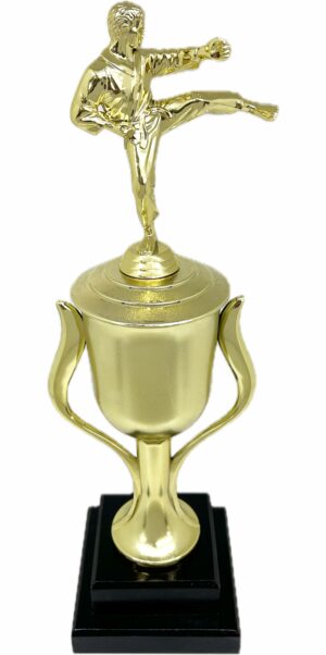 Karate Male Trophy 420mm