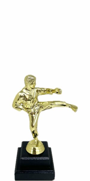 Karate Male Trophy 200mm