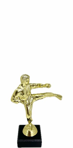 Karate Male Trophy 175mm