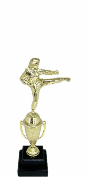 Karate Female Trophy 290mm