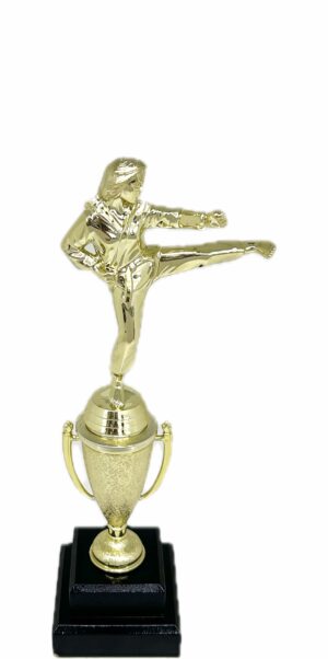 Karate Female Trophy 310mm