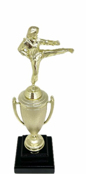 Karate Female Trophy 350mm