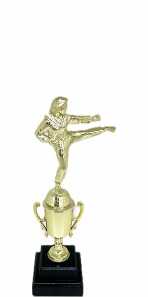 Karate Female Trophy 290mm