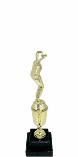 Karate Female Trophy 290mm