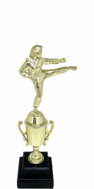 Karate Female Trophy 310mm