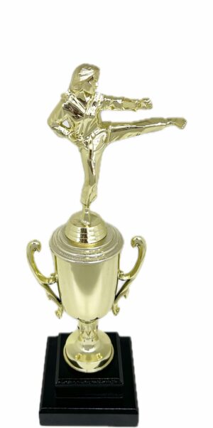 Karate Female Trophy 350mm