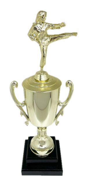 Karate Female Trophy 390mm