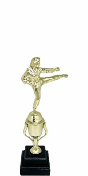 Karate Female Trophy 290mm