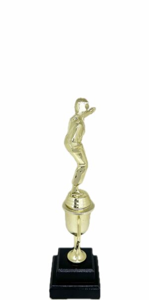 Karate Female Trophy 290mm