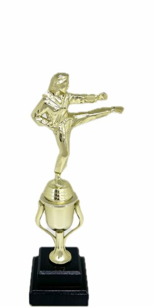 Karate Female Trophy 310mm