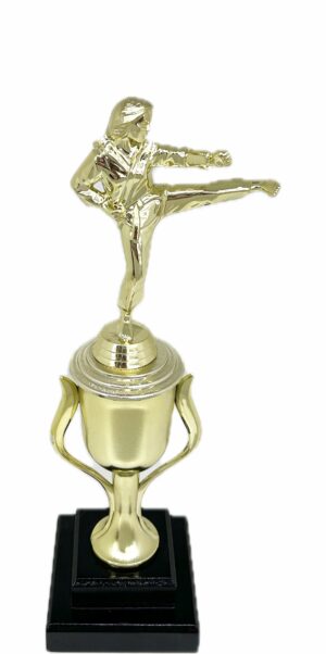 Karate Female Trophy 350mm