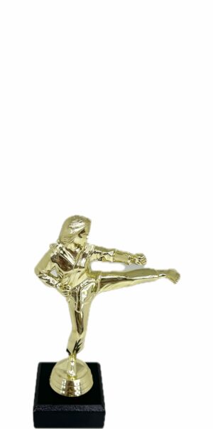 Karate Female Trophy 175mm