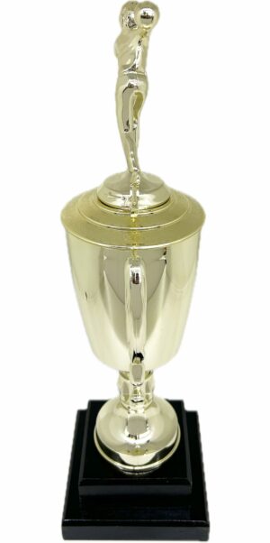 Ten Pin Bowling Allstar Female Trophy 405mm