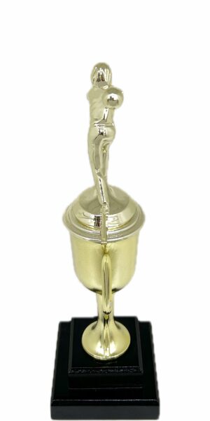 Ten Pin Bowling Allstar Female Trophy 325mm