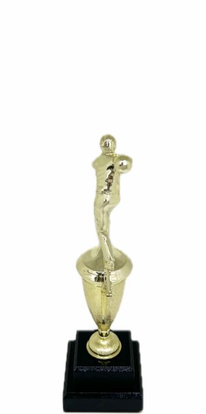 Ten Pin Bowling Allstar Male Trophy 265mm