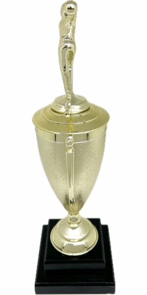 Ten Pin Bowling Allstar Male Trophy 405mm