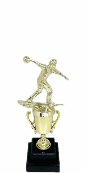 Ten Pin Bowling Allstar Male Trophy 265mm