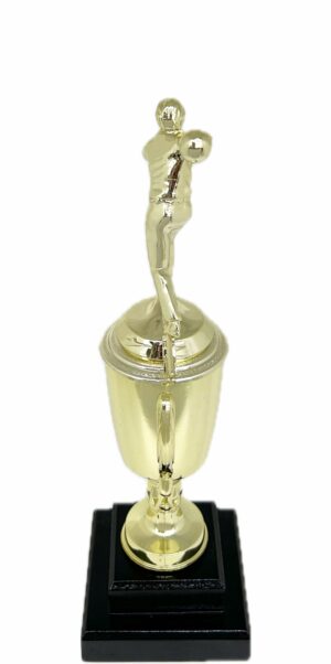 Ten Pin Bowling Allstar Male Trophy 325mm