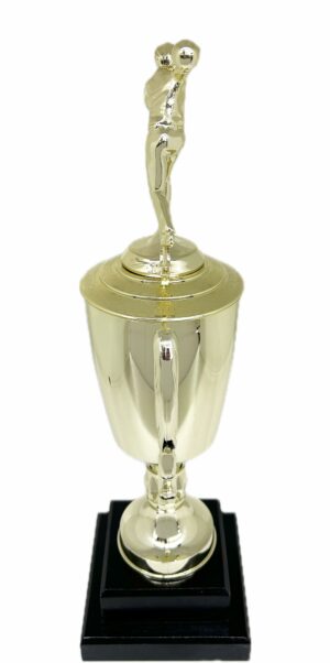 Ten Pin Bowling Allstar Male Trophy 365mm