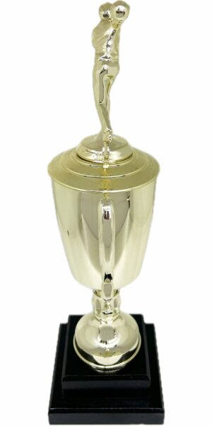 Ten Pin Bowling Allstar Male Trophy 405mm