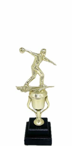 Ten Pin Bowling Allstar Male Trophy 265mm