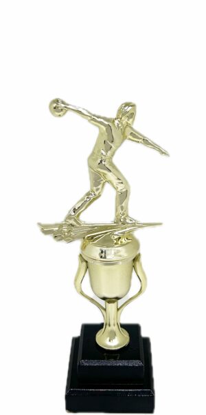 Ten Pin Bowling Allstar Male Trophy 285mm