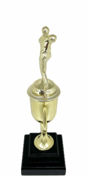 Ten Pin Bowling Allstar Male Trophy 325mm