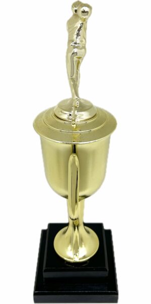 Ten Pin Bowling Allstar Male Trophy 405mm