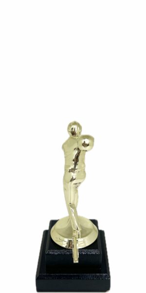 Ten Pin Bowling Allstar Male Trophy 175mm