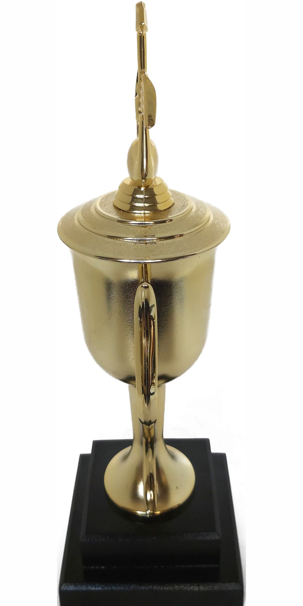 Music Note Trophy 385mm