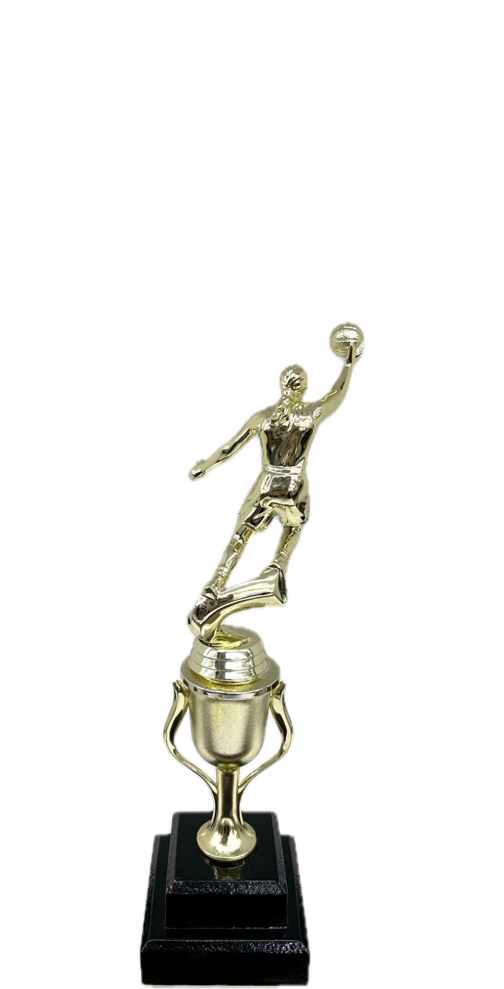Basketball S/D Male Trophy 290mm
