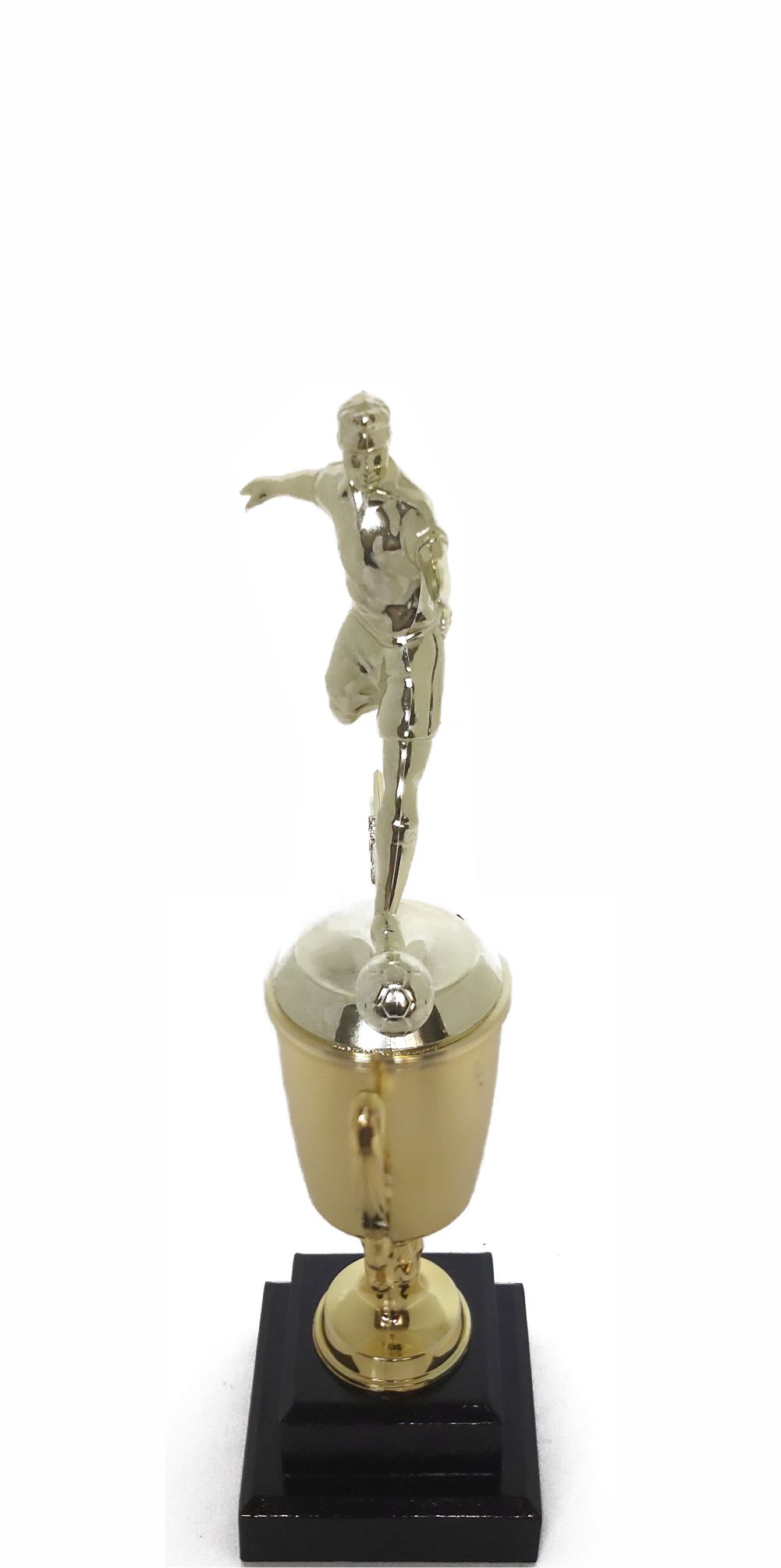 Soccer All Star Male Trophy 290mm