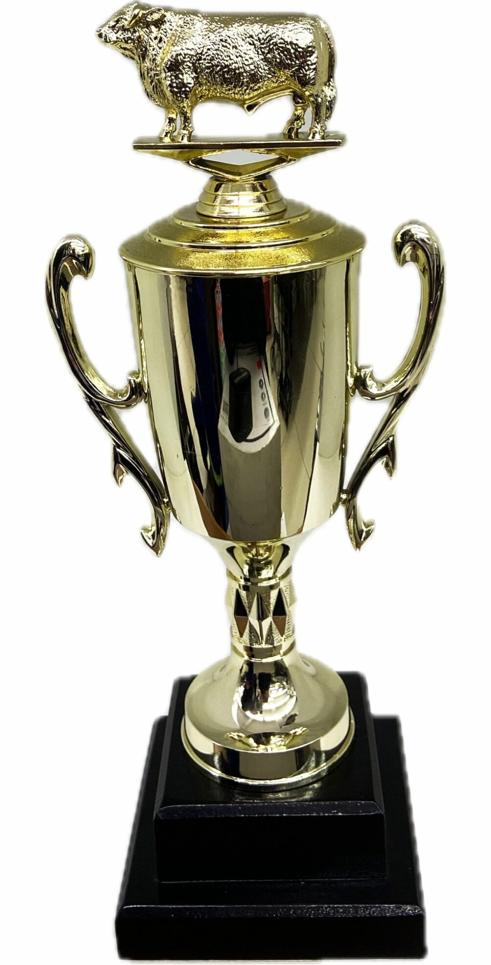 Hereford Bull Trophy 355mm