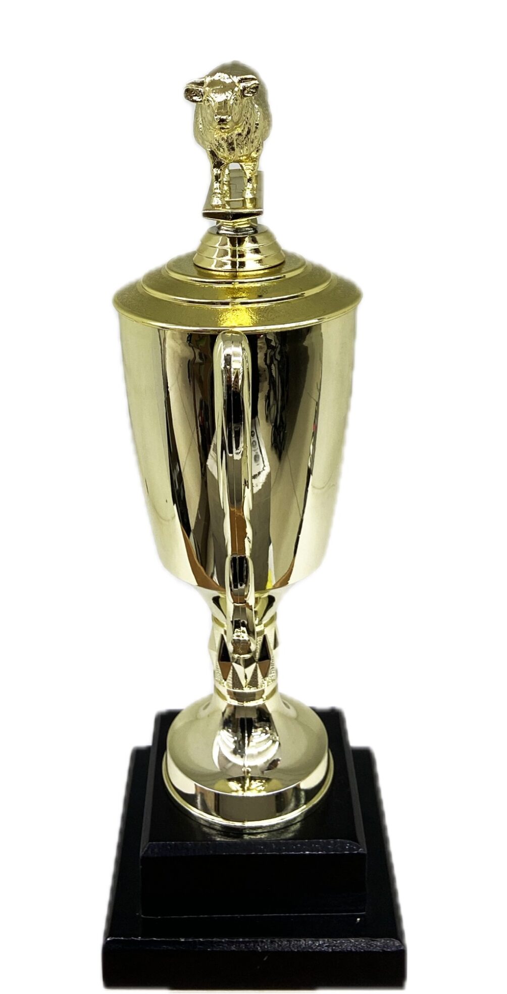 Hereford Cow Trophy 315mm