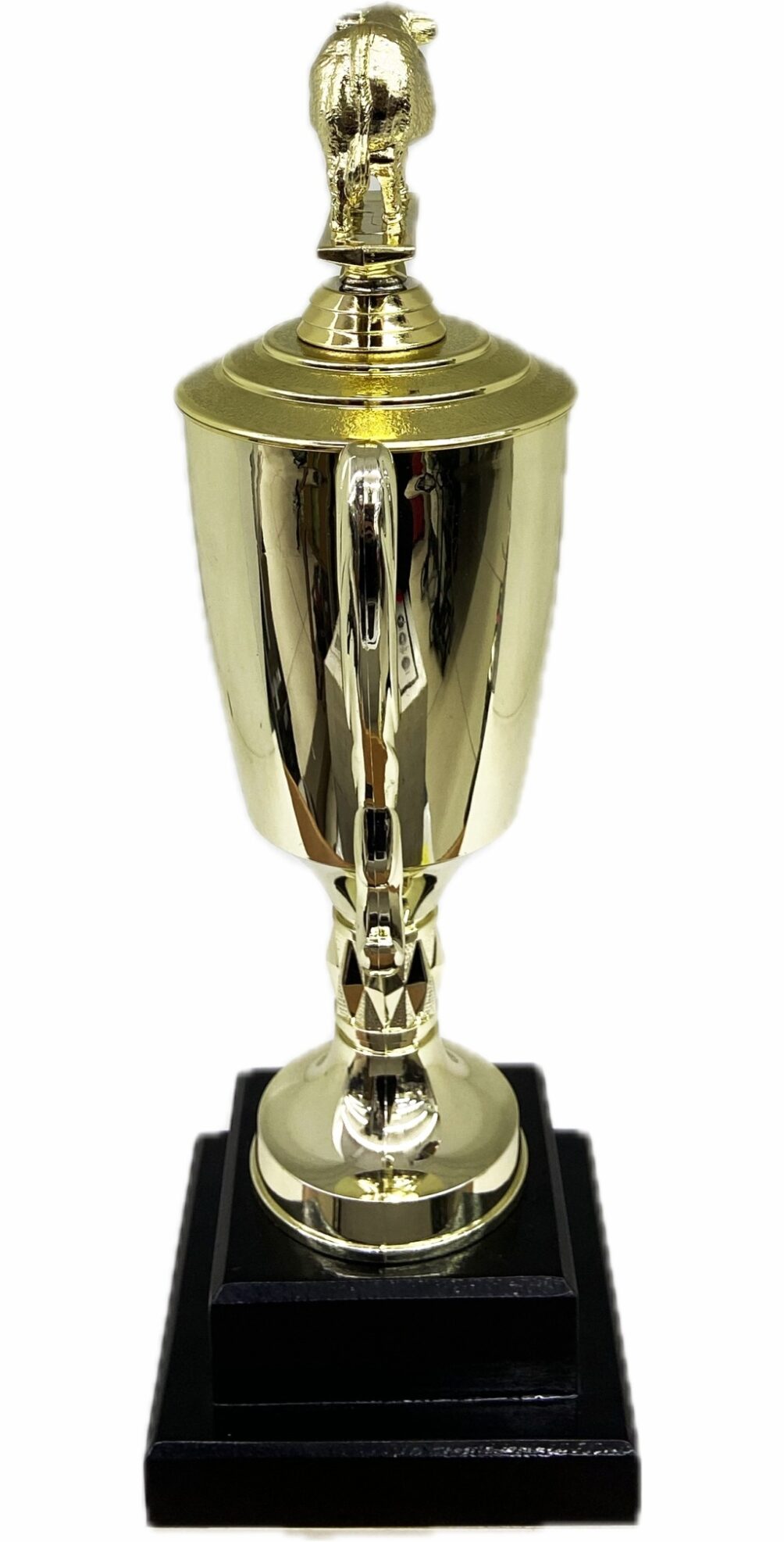 Hereford Cow Trophy 355mm