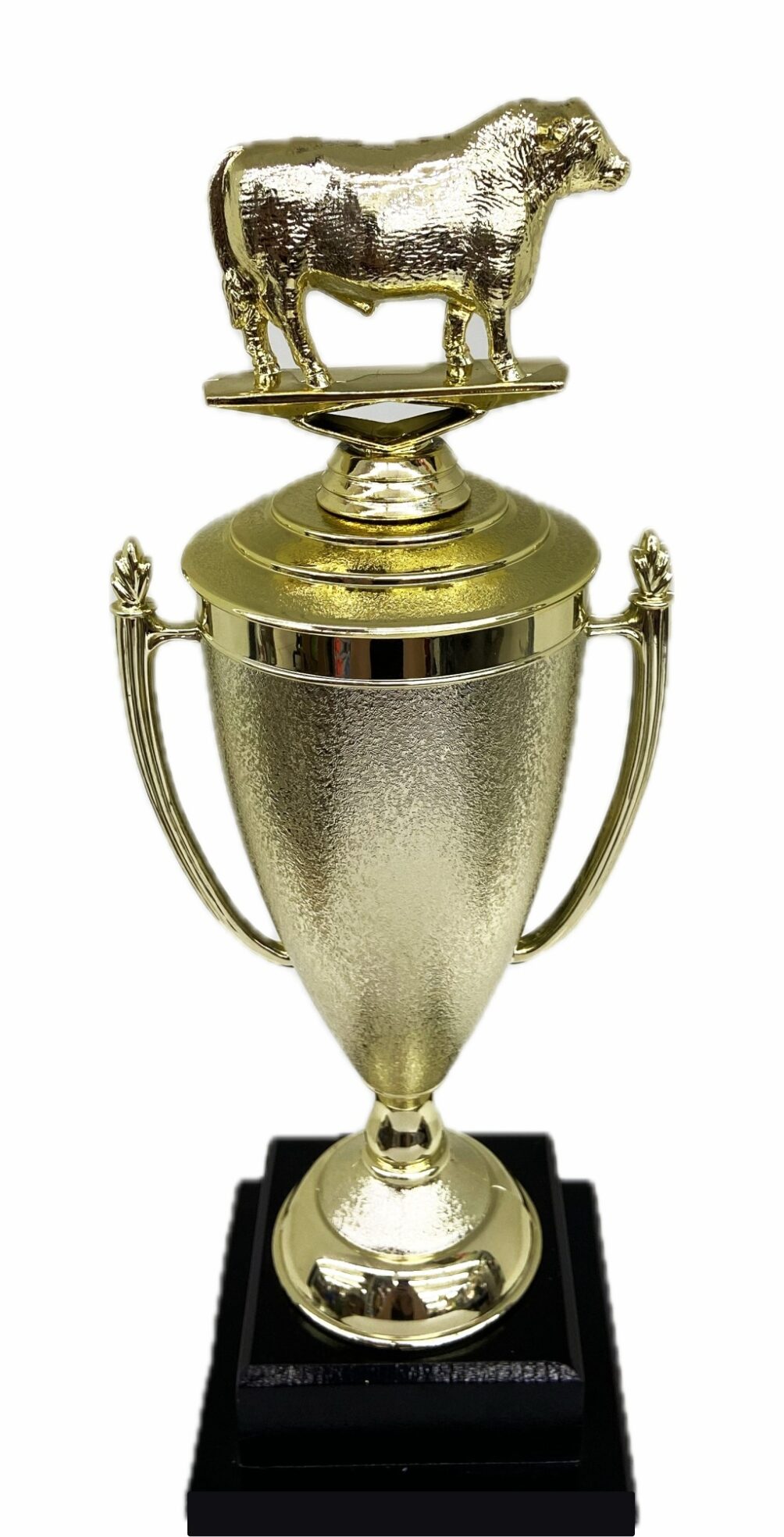 Hereford Steer Trophy 315mm