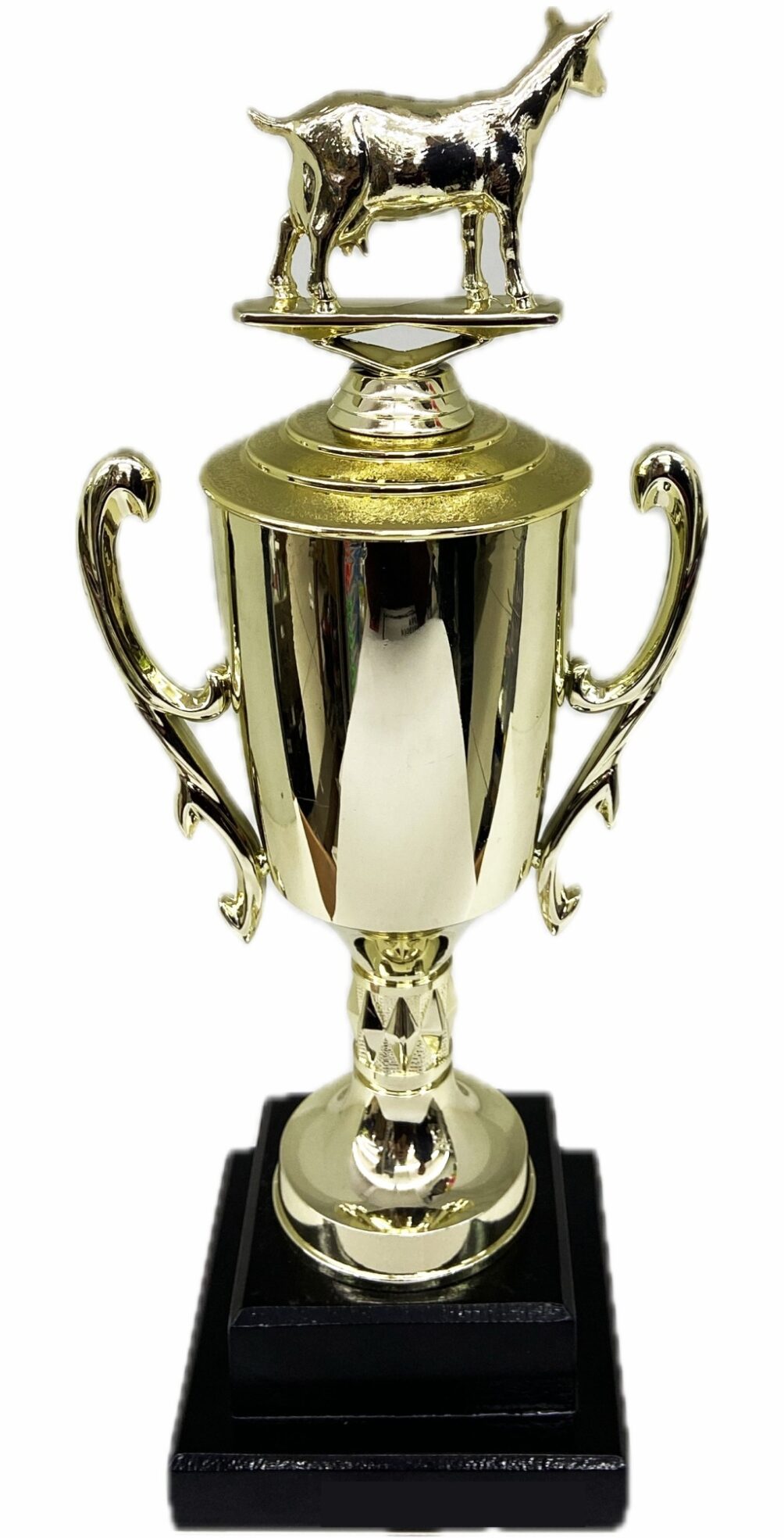 Dairy Goat Trophy 355mm