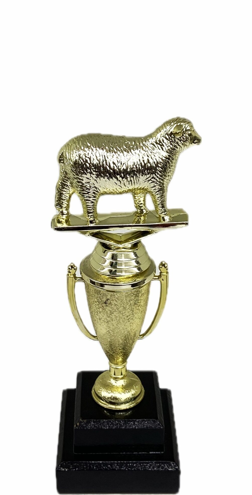 Sheep Trophy 240mm