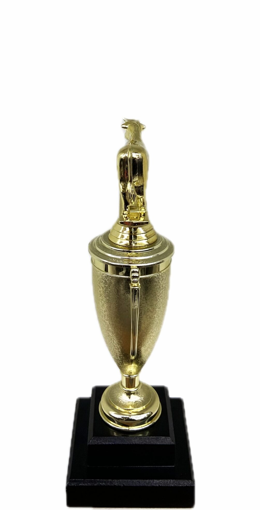 Dairy Bull Trophy 240mm